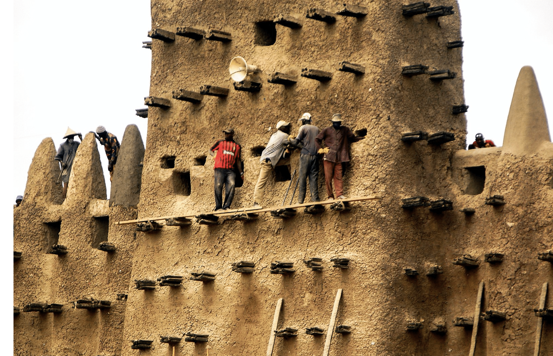 Jährliche Reparatur an der Großen Moschee  von Djenné in Mali: Die Palmstämme stabilisieren die Wände der Moschee (Lehm) und dienen bei Reparaturen selbst als Gerüst. Foto: Wikimedia Commons / Ralf Steinberger